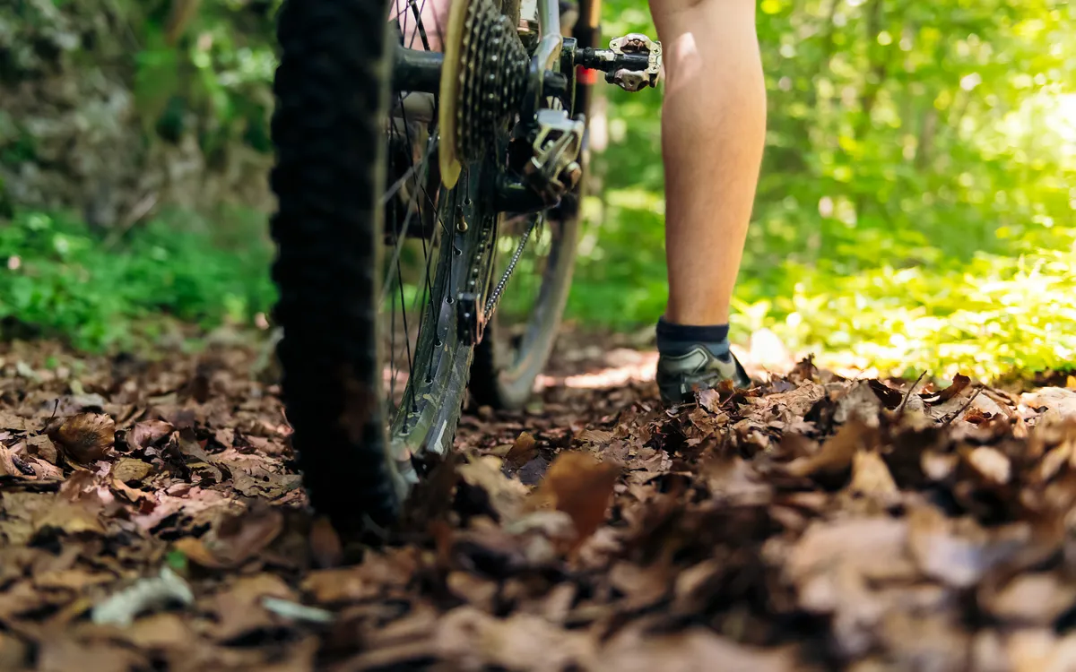 Cycling shoe clipped into the clipless pedal of a mountain bike in the woods