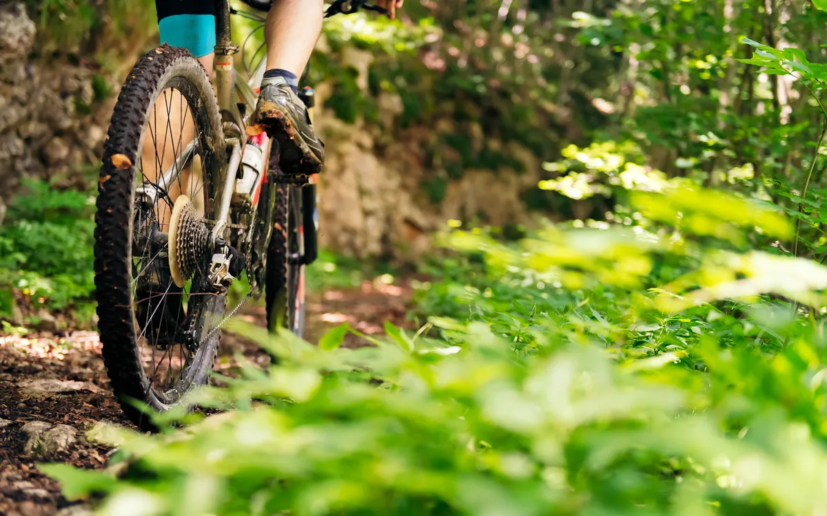 Rider's foot on the pedal of a mountain bike on a woodland track
